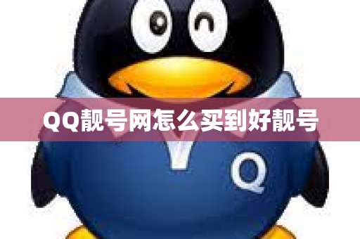 QQ靓号网怎么买到好靓号